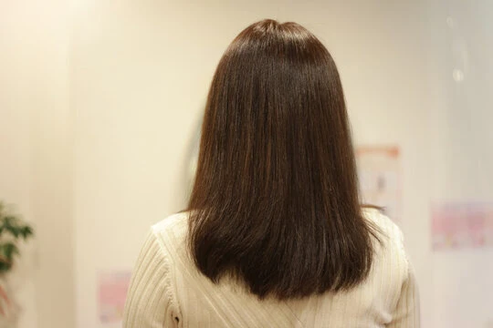 セミデイーを体験し、新しい魅力に出会おう